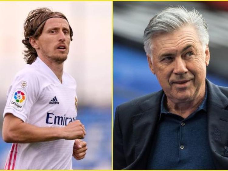 试图解读背 试图解读背