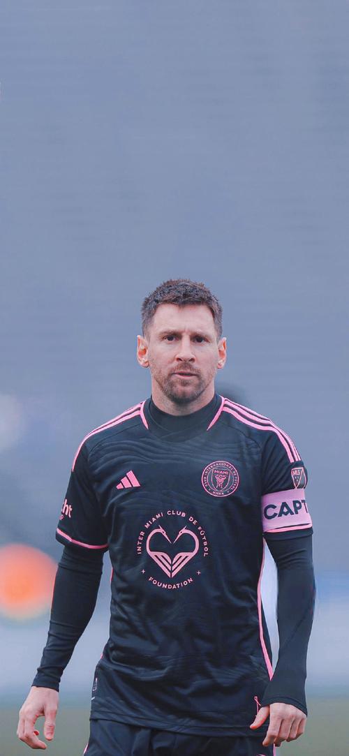 最大反对者也求助鹰眼尴尬费德勒称需要时间